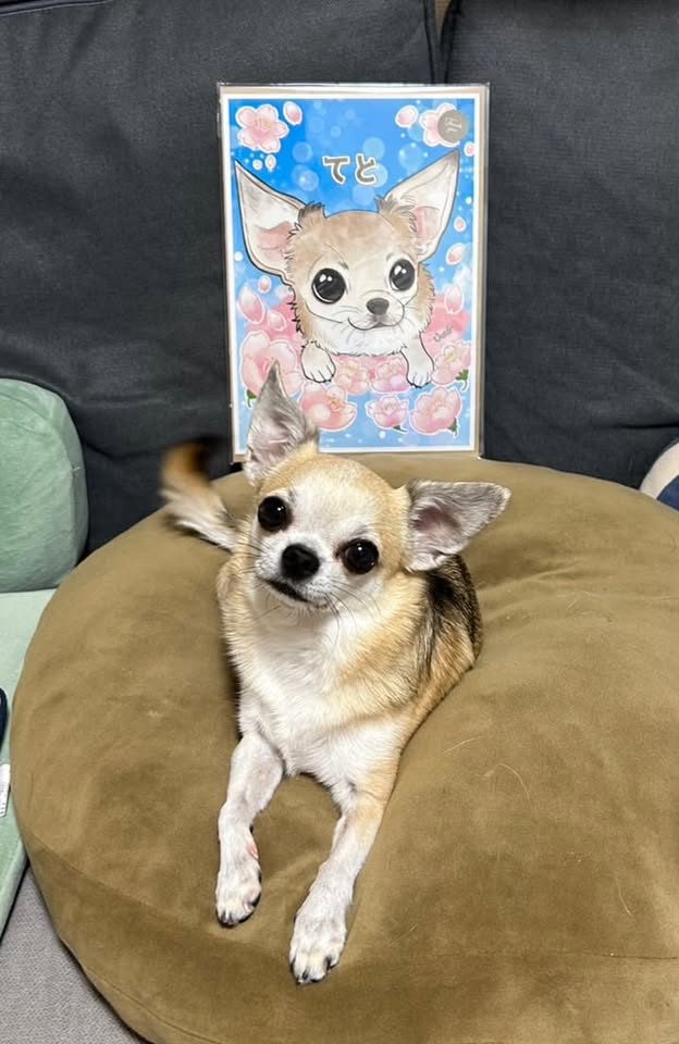 お客様の似顔絵 19