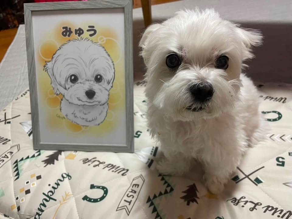 お客様の似顔絵 44