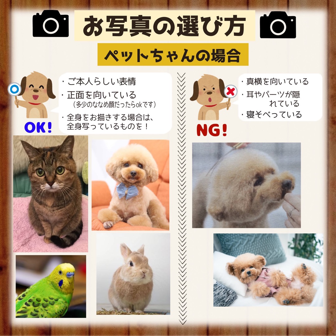 お写真の選び方（ペットちゃんの場合）