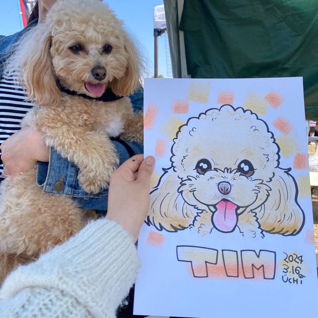 トイプードルの似顔絵